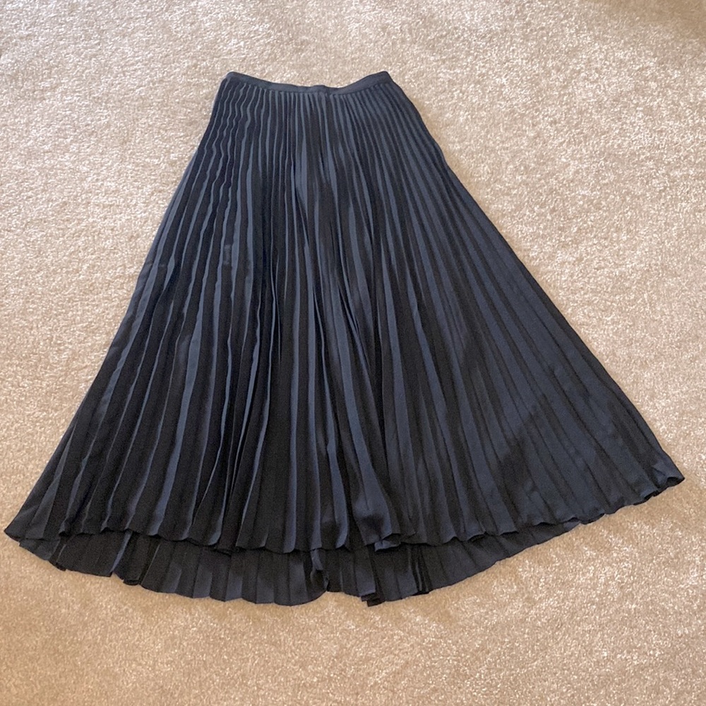 Pleated Maxi Skirt